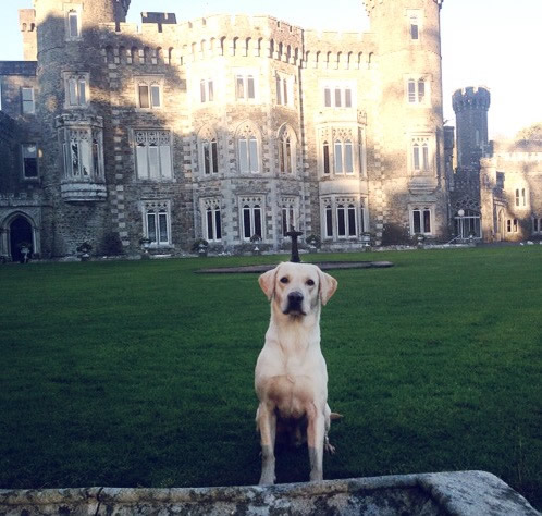 gus-castle