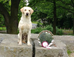 Gus with Plate