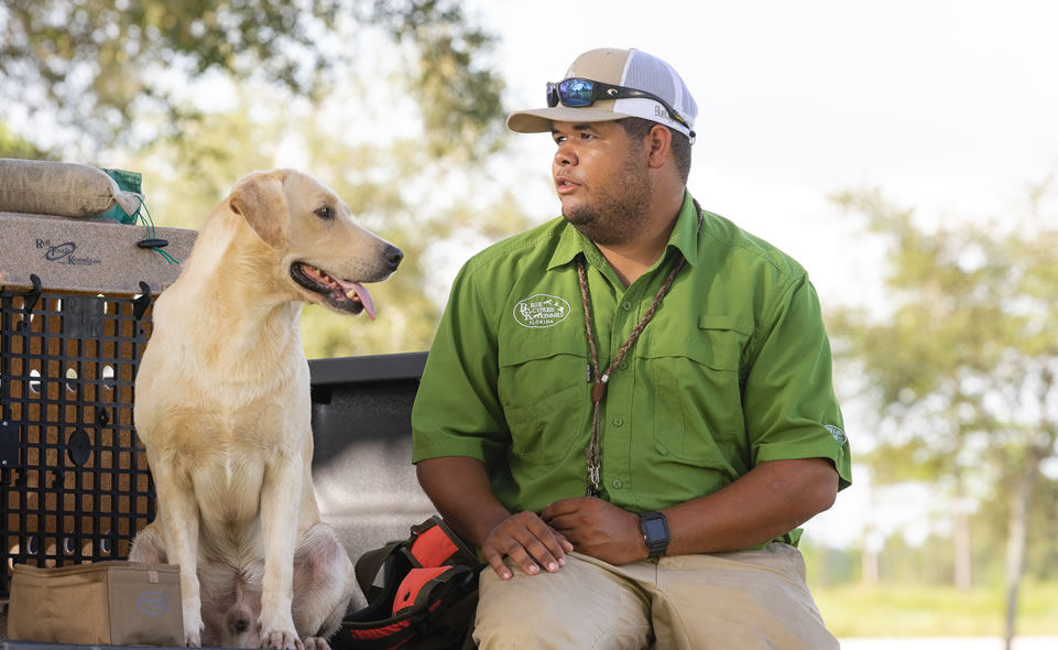 Dog trainer with British Labrador Retriever
